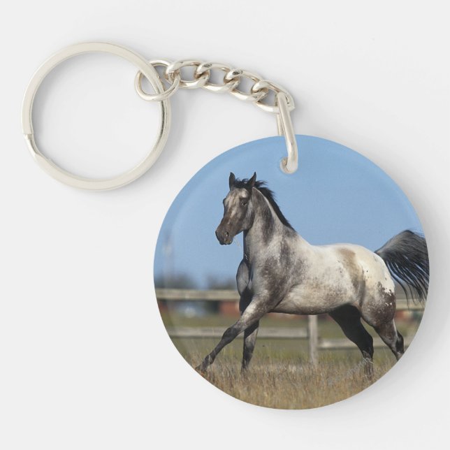 Appaloosa Horse Running 3 Key Ring (Front)