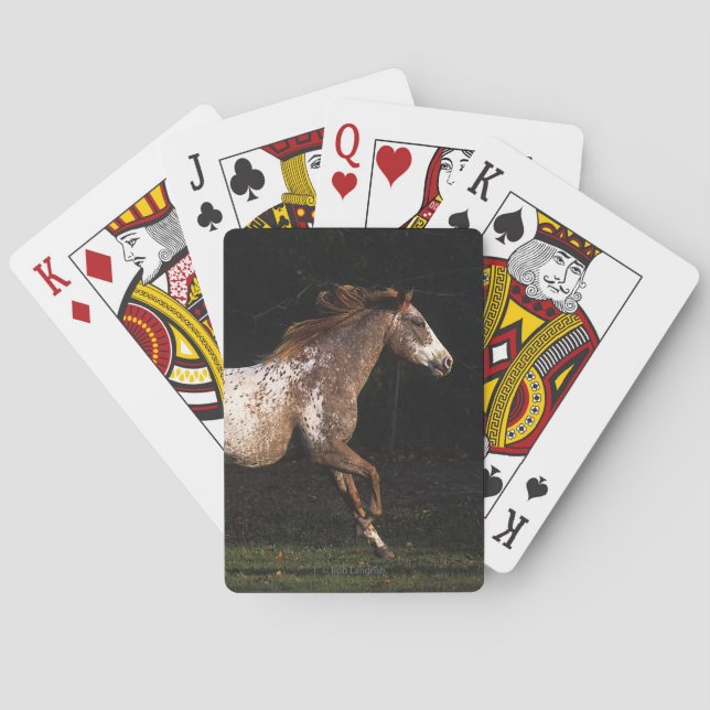 Appaloosa Horse Running 4 Playing Cards (Back)