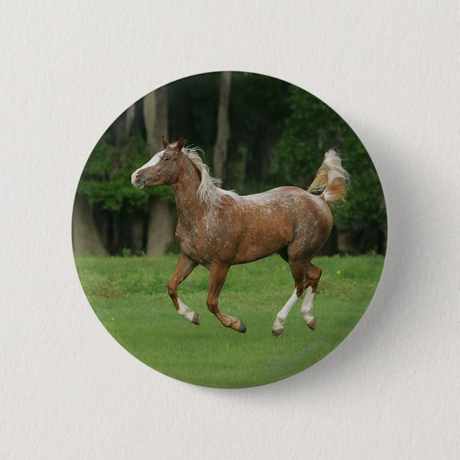 Appaloosa Horse Running 6 Cm Round Badge (Front)