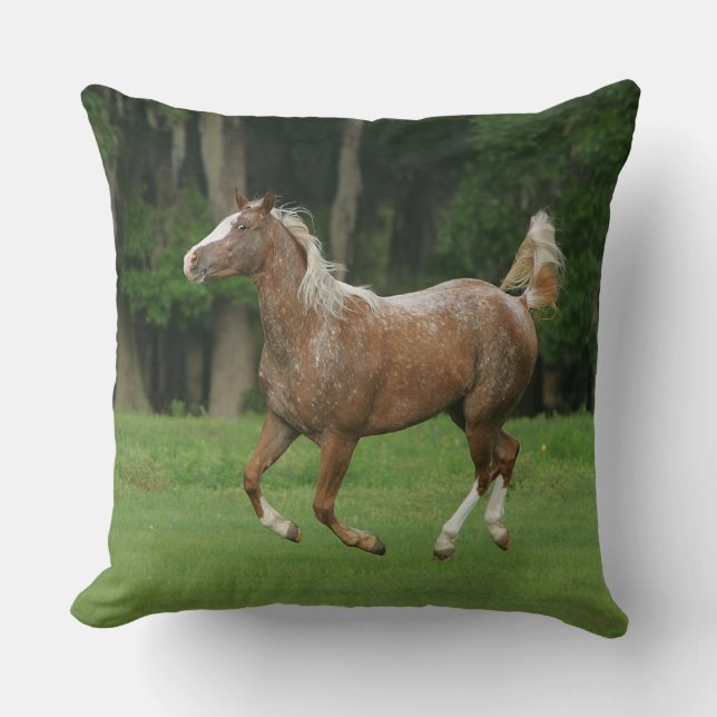Appaloosa Horse Running Cushion (Front)