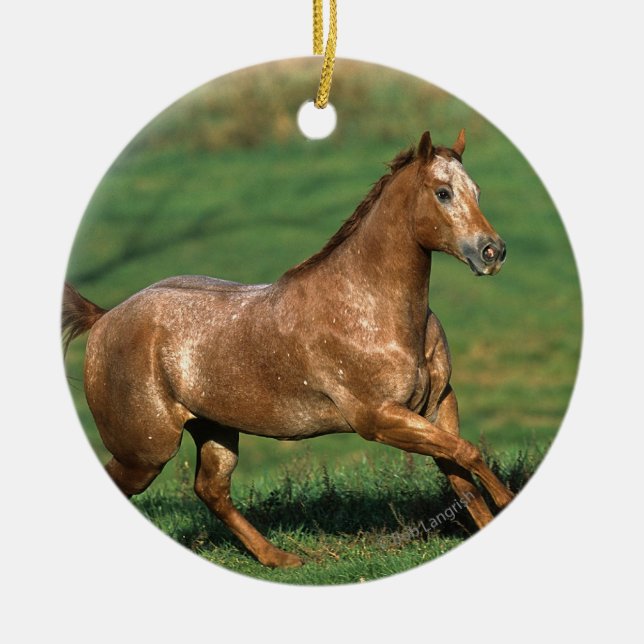 Appaloosa Horse Running in Grassy Field Ceramic Tree Decoration (Front)