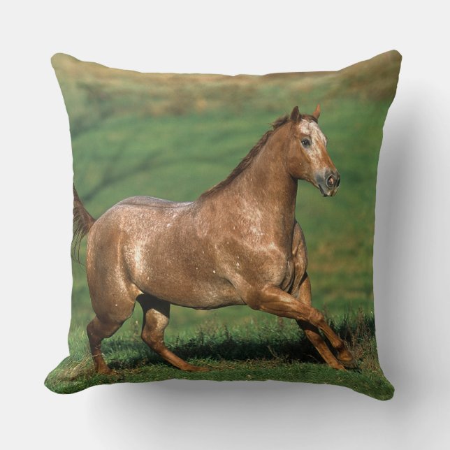 Appaloosa Horse Running in Grassy Field Cushion (Front)