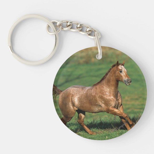 Appaloosa Horse Running in Grassy Field Key Ring (Front)