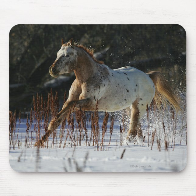 Appaloosa Horse Running in the Snow Mouse Mat (Front)