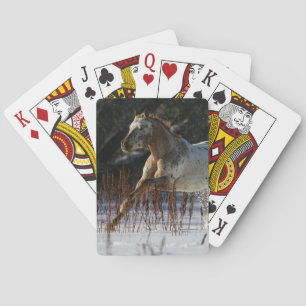 Appaloosa Horse Running in the Snow Playing Cards