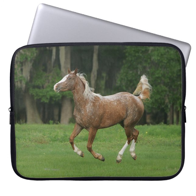 Appaloosa Horse Running Laptop Sleeve (Front)