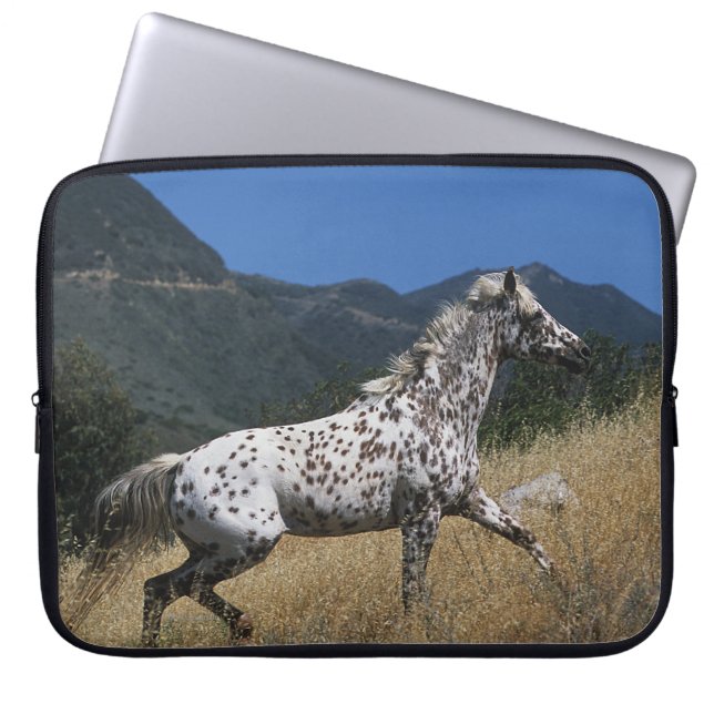 Appaloosa Horse Running up Mountain Laptop Sleeve (Front)