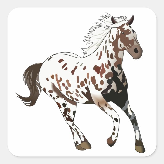 Appaloosa Horse Square Sticker (Front)