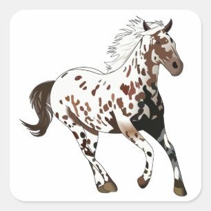 Appaloosa Horse Square Sticker