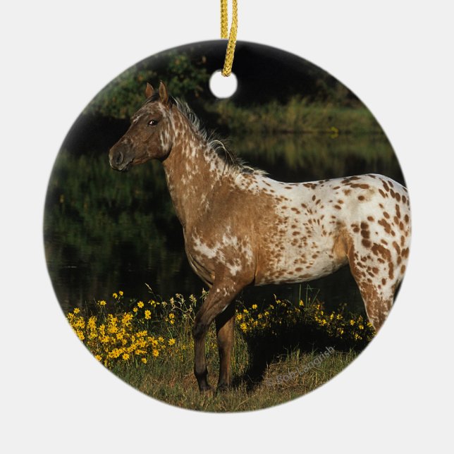 Appaloosa Horse Standing by Lake Ceramic Tree Decoration (Front)