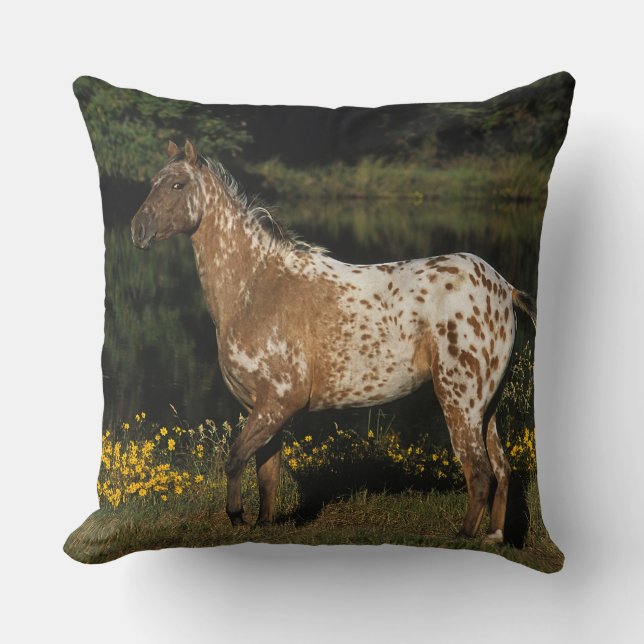 Appaloosa Horse Standing by Lake Cushion (Front)