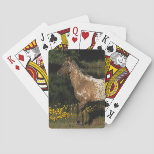 Appaloosa Horse Standing by Lake Playing Cards