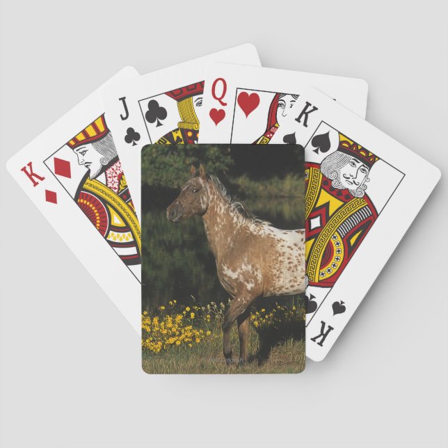 Appaloosa Horse Standing by Lake Playing Cards (Back)