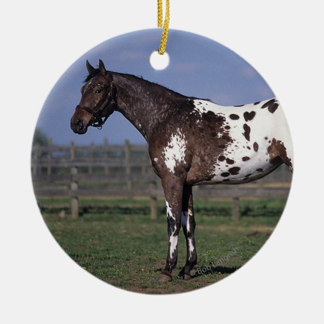 Appaloosa Horse Standing Ceramic Tree Decoration (Front)