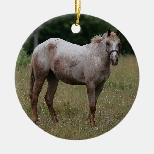 Appaloosa Horse Standing in the Grass Ceramic Tree Decoration (Front)