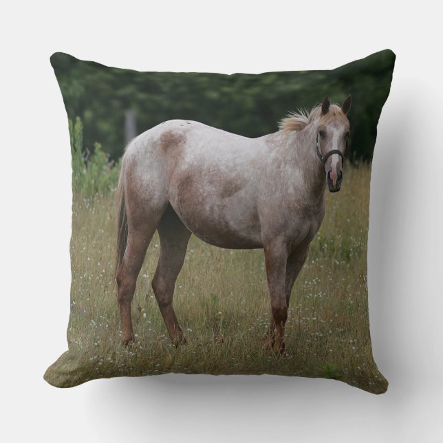 Appaloosa Horse Standing in the Grass Cushion (Front)
