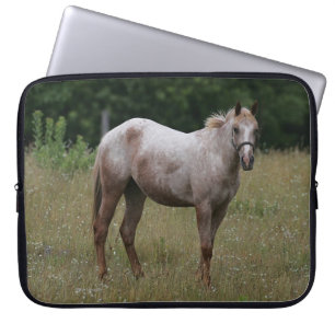 Appaloosa Horse Standing in the Grass Laptop Sleeve