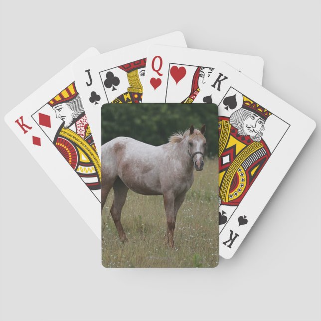 Appaloosa Horse Standing in the Grass Playing Cards (Back)
