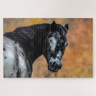 Appaloosa Horse with fall colours Jigsaw Puzzle