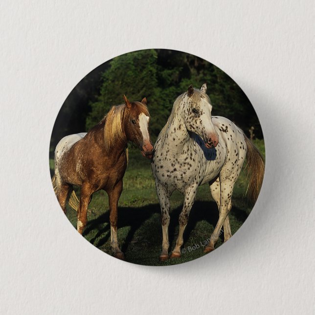 Appaloosa Horses 6 Cm Round Badge (Front)