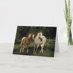 Appaloosa Horses Card