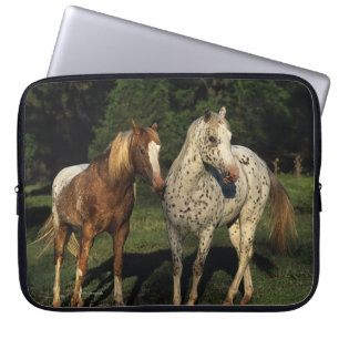 Appaloosa Horses Laptop Sleeve