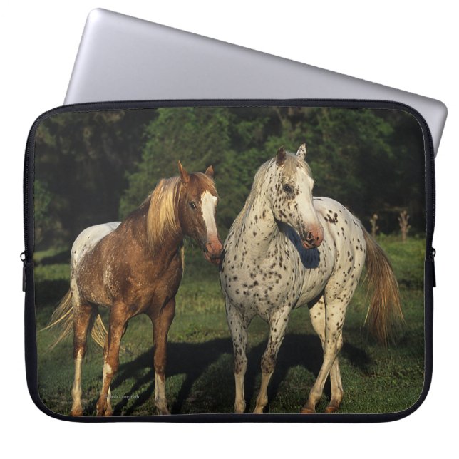 Appaloosa Horses Laptop Sleeve (Front)