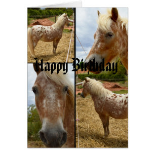 Appaloosa Horses Photo Collage Birthday