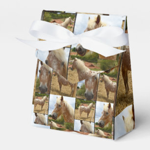 Appaloosa Horses Photo Collage, Gift Favour Box