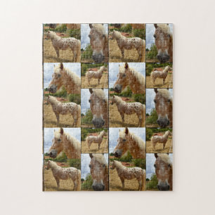 Appaloosa Horses Photo Collage, Jigsaw Puzzle