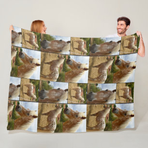 Appaloosa Horses Photo Collage, Large Fleece Blanket