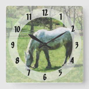 Appaloosa in Pasture Square Wall Clock