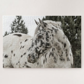 Appaloosa Jigsaw Puzzle