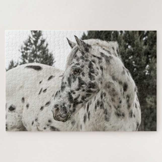 Appaloosa Jigsaw Puzzle (Horizontal)