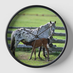 Appaloosa Mare and Colt Horse Clock