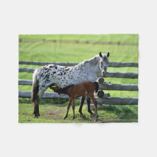 Appaloosa Mare and Colt Horse Fleece Blanket