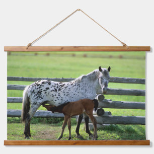 Appaloosa Mare and Colt Horse Hanging Tapestry