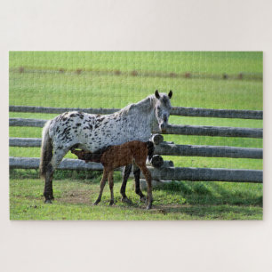 Appaloosa Mare and Colt Horse Jigsaw Puzzle
