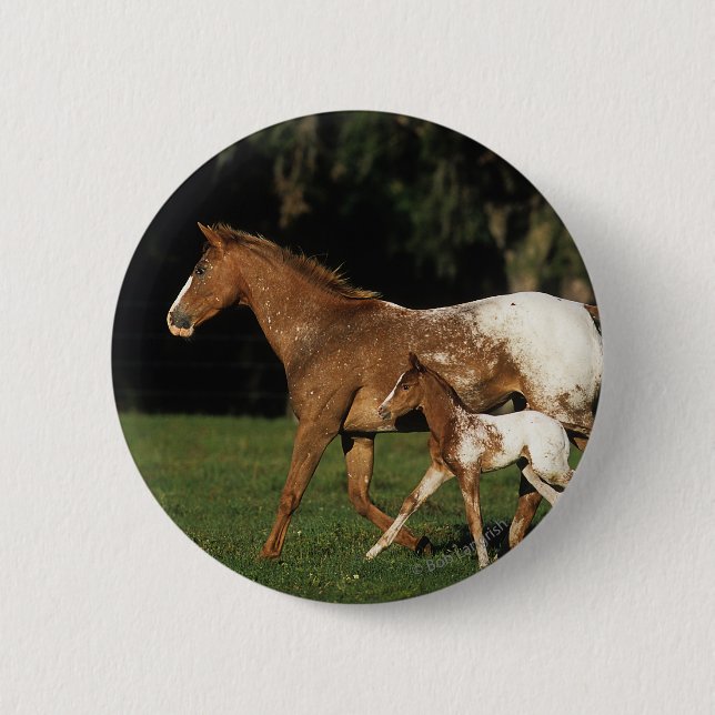 Appaloosa Mare And Foal 6 Cm Round Badge (Front)
