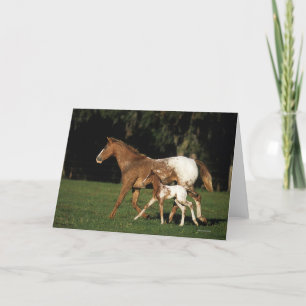 Appaloosa Mare And Foal Card