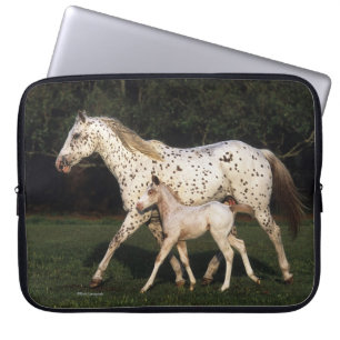Appaloosa Mare And Foal in Field Laptop Sleeve