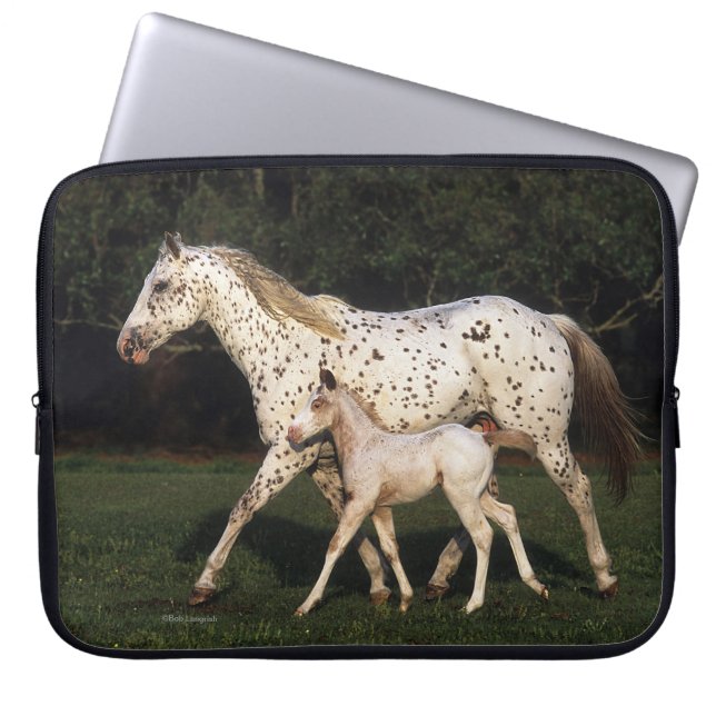 Appaloosa Mare And Foal in Field Laptop Sleeve (Front)