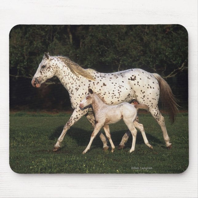 Appaloosa Mare And Foal in Field Mouse Mat (Front)