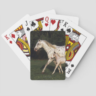 Appaloosa Mare And Foal in Field Playing Cards