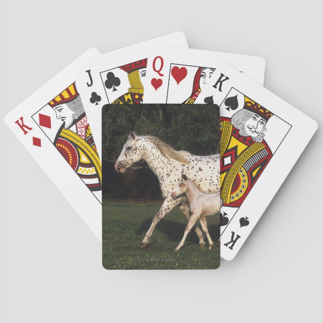 Appaloosa Mare And Foal in Field Playing Cards (Back)