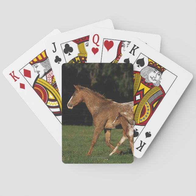 Appaloosa Mare And Foal Playing Cards (Back)