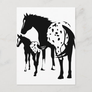 Appaloosa Mare and Foal Postcard