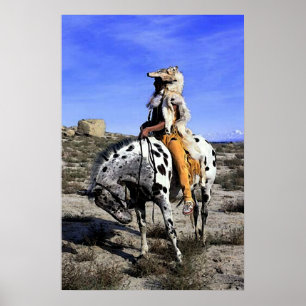 Appaloosa Memories Of The Past Poster Print