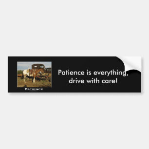 Appaloosa Motivational Gifts Bumper Sticker