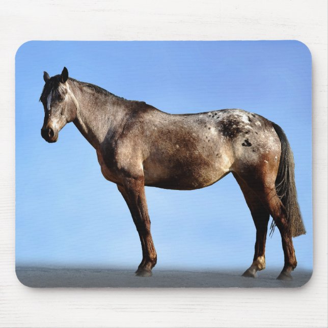 Appaloosa Mouse Mat (Front)
